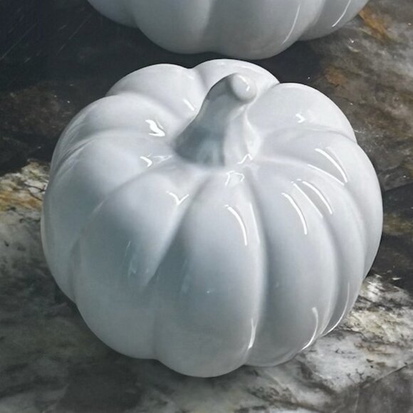 Thanksgiving Centerpiece Set Of 7 White Mini Ceramic Pumpkins - Picture 15 of 15
